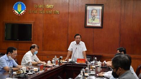 Bàn giải pháp tiêu thụ lúa gạo vụ Hè Thu đồng bằng sông Cửu Long