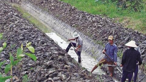 Nhân công miệt vườn: hàng hiếm!