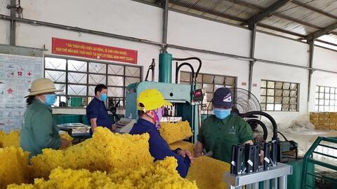 Phát triển công nghiệp hỗ trợ tại Kon Tum: Khai thác tiềm năng, lợi thế sẵn có