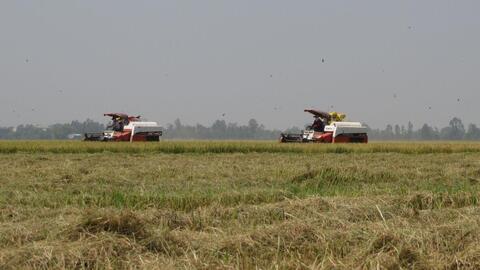 Giá bán nhiều mặt hàng nông sản xuống thấp