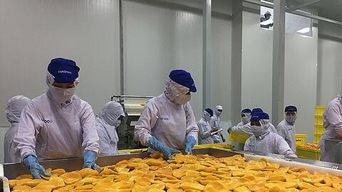 Nga tăng nhập khẩu rau quả chế biến từ thị trường Việt Nam