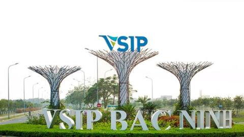 Doanh nghiệp Singapore đầu tư lớn vào lĩnh vực công nghiệp chế biến, chế tạo Việt Nam