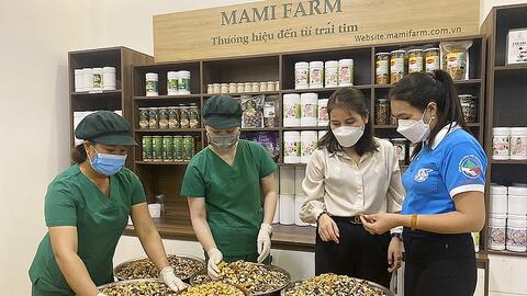 Nghệ An: Khi “bóng hồng” khởi nghiệp