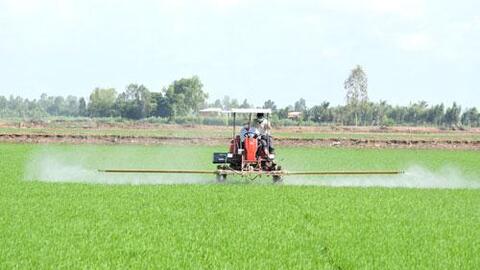 Ngành Nông nghiệp Long An: Nỗ lực hoàn thành các chỉ tiêu, nhiệm vụ năm 2021