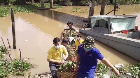 Tiêu thụ nông sản qua thương mại điện tử: Góp phần phục hồi kinh tế nông nghiệp trong đại dịch