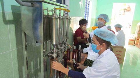 Bình Định: 100% cơ sở có nhu cầu được hỗ trợ phát triển sản phẩm công nghiệp nông thôn tiêu biểu