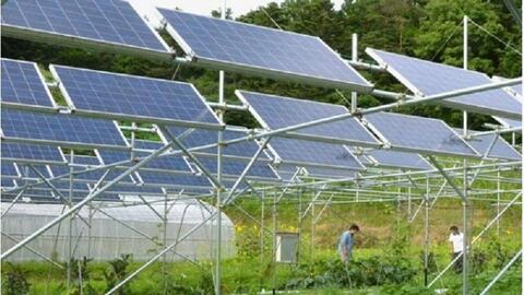 Tận dụng hiệu quả mô hình điện mặt trời kết hợp với sản xuất nông nghiệp