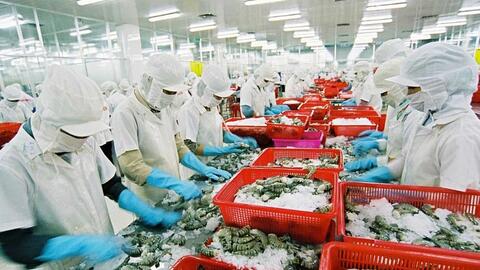 Xuất khẩu nông sản sang Trung Quốc: Thích ứng với quy định mới