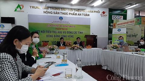 Kết nối tiêu thụ rau vụ Đông các tỉnh đồng bằng sông Hồng