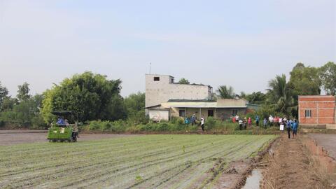 Tổng kết mô hình cơ giới hóa trong gieo, cấy lúa