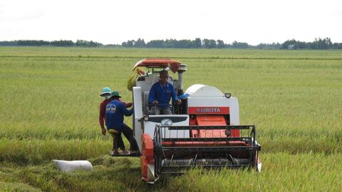 Phát triển kinh tế tập thể năng động, hiệu quả