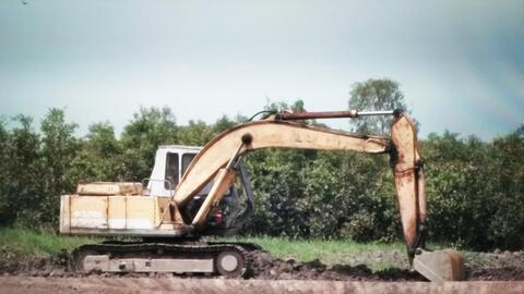 Siết chặt quản lý nuôi tôm nước mặn ở vùng Đồng Tháp Mười tỉnh Long An