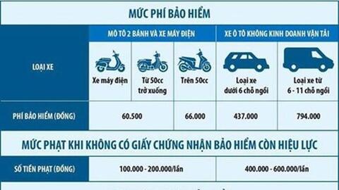 Toàn bộ thông tin cần biết về Bảo hiểm bắt buộc ô tô, xe máy