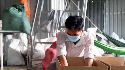 Trang trại dưa lưới nhộn nhịp ngày cận Tết Nguyên đán 