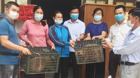 Nhân rộng điển hình