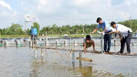 Cần Giuộc: Ứng dụng công nghệ cao vào sản xuất nông nghiệp mang lại hiệu quả