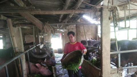 Tân Kỳ phát huy hiệu quả nguồn vốn vay ưu đãi