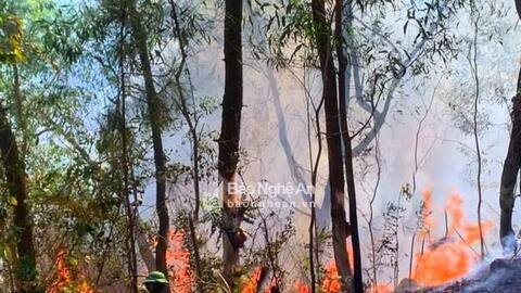 Nắng nóng gay gắt, Nghệ An đối mặt nguy cơ cháy rừng cấp 4, 5