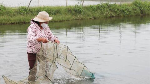 Đảm bảo tăng trưởng tín dụng khu vực thành phố