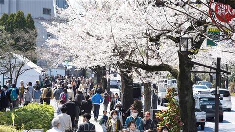 Nhật Bản sẽ đón khách du lịch theo tour từ ngày 10/6