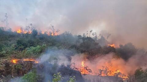 Nguy cơ cháy rừng ở mức cao do nắng nóng