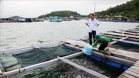 Tổng sản lượng thủy sản trong 11 tháng đạt hơn 8,4 triệu tấn
