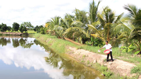 Phát triển nuôi trồng thủy sản nước ngọt