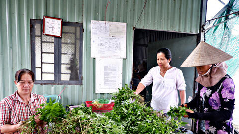 Đưa rau sạch đến với người tiêu dùng