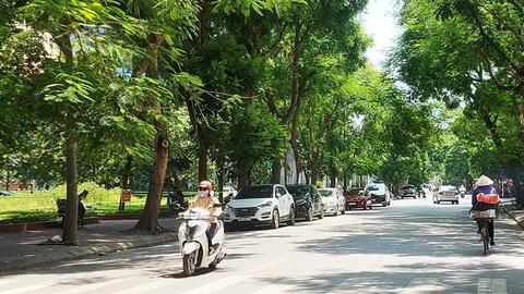 Bắc Bộ ngày nắng, chiều tối và đêm có mưa dông rải rác