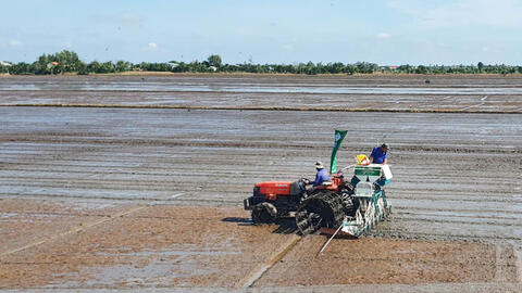 Sản xuất lúa 'xanh', chất lượng cao, phát thải thấp