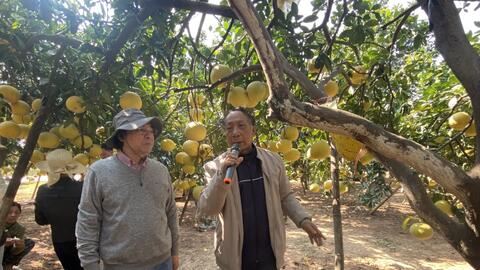 Nông nghiệp Thủ đô giải bài toán phát triển bền vững