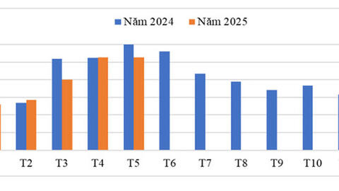 Giá hạt tiêu vọt tăng hơn 60%, xuất khẩu bứt phá