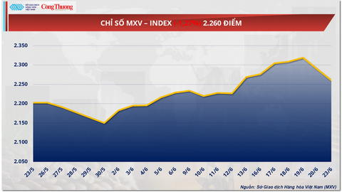 Giá cà phê Robusta quay đầu phục hồi về mức 3.904 USD/tấn