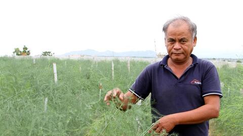 Chuỗi liên kết nông sản: ‘Chìa khoá’ thoát nghèo cho đồng bào dân tộc thiểu số Ninh Thuận