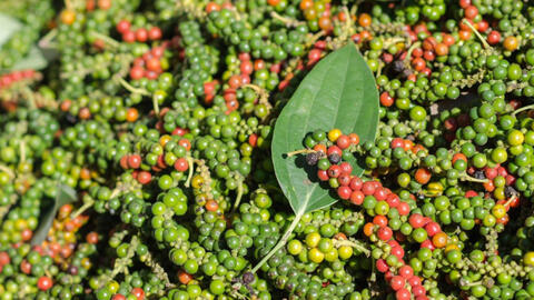 Giá tiêu hôm nay 3/7/2025: trong nước liên tục tăng, thị trường khởi sắc