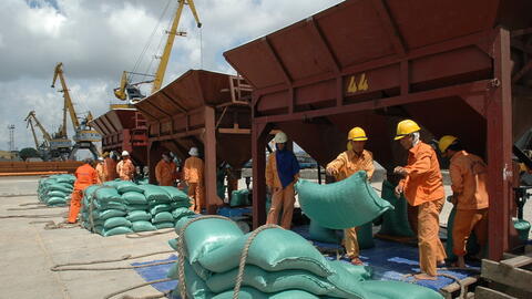 Tạo hành lang pháp lý thuận lợi nhất cho hoạt động xuất khẩu gạo