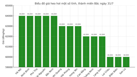Giá heo hơi hôm nay 31/7/2025: Tiếp đà tăng nhẹ ở nhiều địa phương