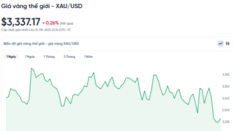 Giá vàng hôm nay 13/08/2025