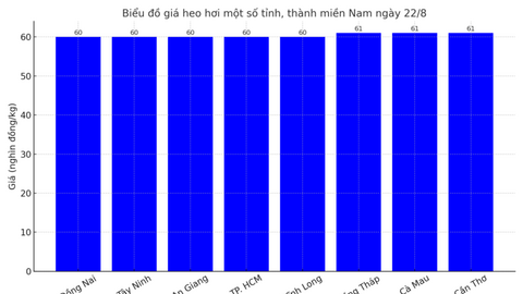 Giá heo hơi hôm nay 22/8/2025: Tiếp đà giảm
