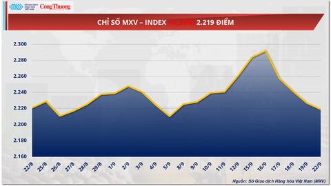 Áp lực dư cung là yếu tố chủ đạo chi phối giá ngô