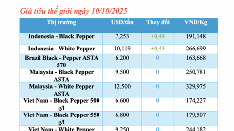 Giá tiêu hôm nay 10/10/2025: Tăng mạnh cục bộ 2.500 đồng/kg