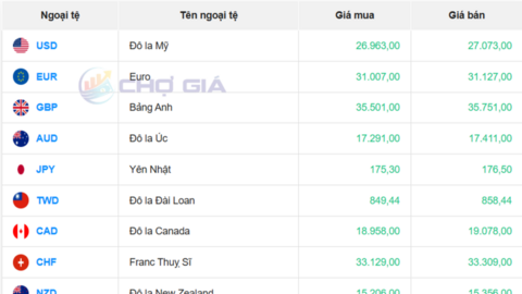 Tỷ giá USD hôm nay 14/10/2025: Đồng USD phục hồi nhẹ