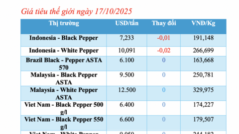 Giá tiêu hôm nay 17/10/2025: Tăng nhẹ tại Đồng Nai