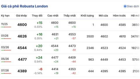 Giá cà phê hôm nay 31/10/2025: Tăng nhẹ 800 đồng/kg