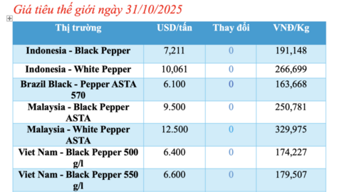 Giá tiêu hôm nay 31/10/2025: Giữ đà tăng giá