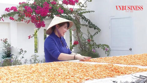 Xây dựng nông thôn mới ở Cà Mau nhìn từ sự vươn mình của các HTX