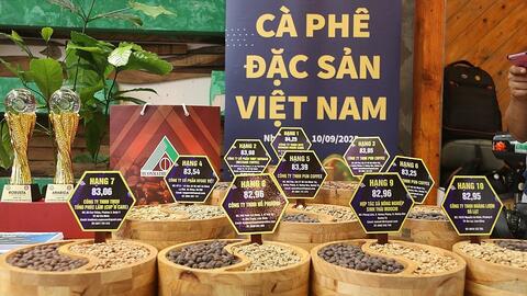 Giá cà phê tăng cao: Cơ hội để HTX nâng tầm bằng cà phê đặc sản
