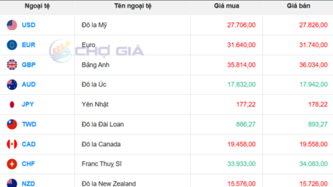 Tỷ giá USD hôm nay 4/11/2025: Trong nước ổn định, “chợ đen” giảm nhẹ