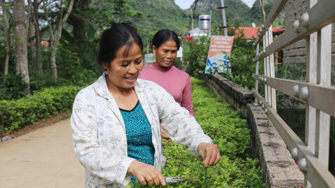 Đa hướng làm giàu trong xây dựng nông thôn mới ở Lạng Sơn