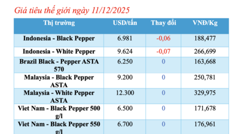 Giá tiêu hôm nay 11/12/2025: Tăng nhẹ